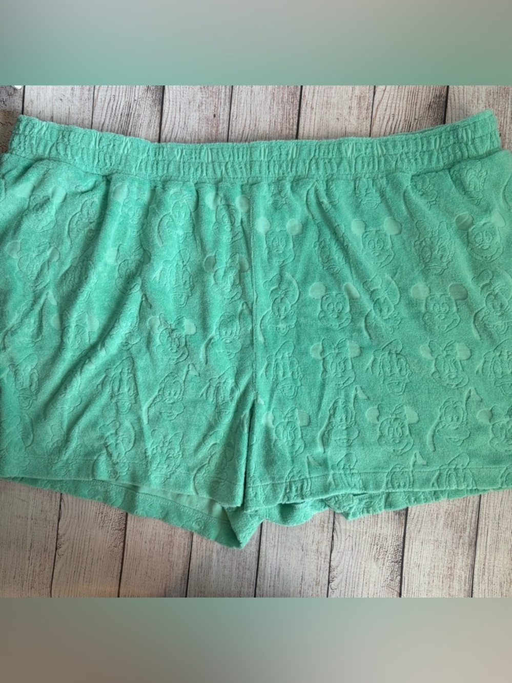 DISNEY Mickey Mint Green Terry Cloth Shorts 2X